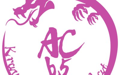 4ème session des Women’s protect